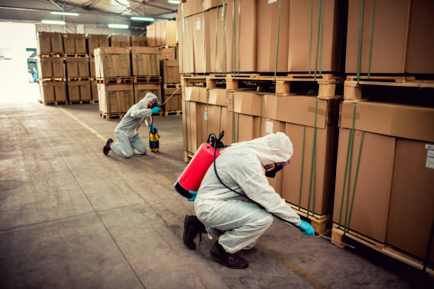 Best Cockroach Control Services  in Edcouch, TX