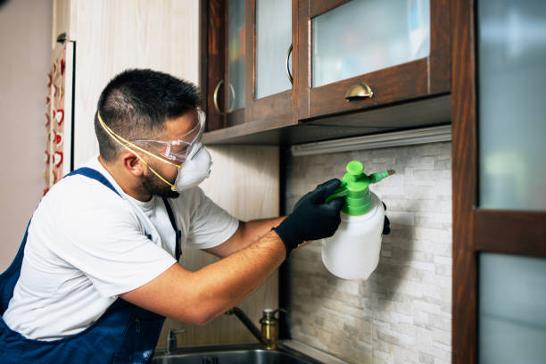 Reliable Edcouch, TX Pest Control Solutions