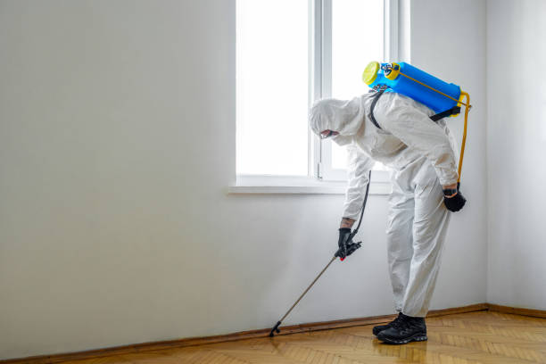 Best Best Pest Control Companies  in Edcouch, TX