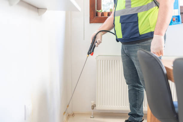 Best Ant Control Services  in Edcouch, TX