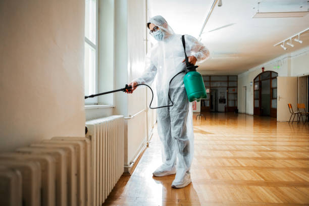 Best Best Pest Control Companies  in Edcouch, TX