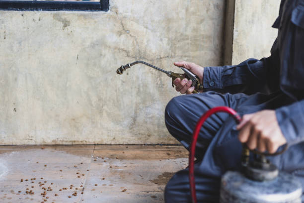 Best Affordable Pest Control Services  in Edcouch, TX